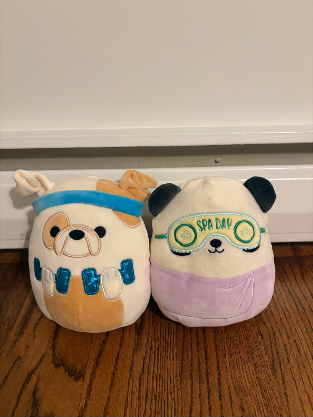 Lot of 2: Wellness Squad Squishmallows